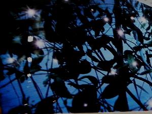 20110226malaysia (19).jpg